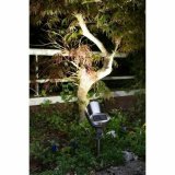 Solcellelampe Galix 30 Lm Rustfrit stl #4