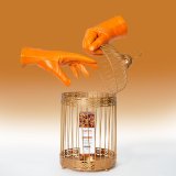 Erotisk massageolie Exsens #13