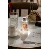 Dameparfume Etat Libre D'Orange Story Of Your Life EDP 100 ml #2