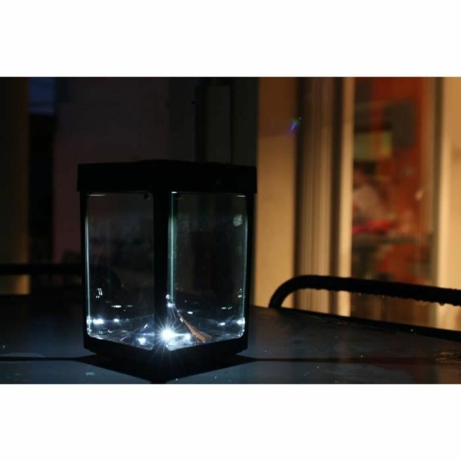 LED-lanterne Sort Krystal ABS 12 x 12 x 18 cm #5