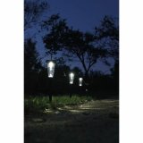 Solcellelampe Canopo Natur 20 Lm (3 enheder) #2
