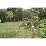 Solcellelampe Canopo Natur 20 Lm (3 enheder) #3