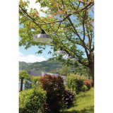 LED guirlande Rio Gr� LED 20 #4