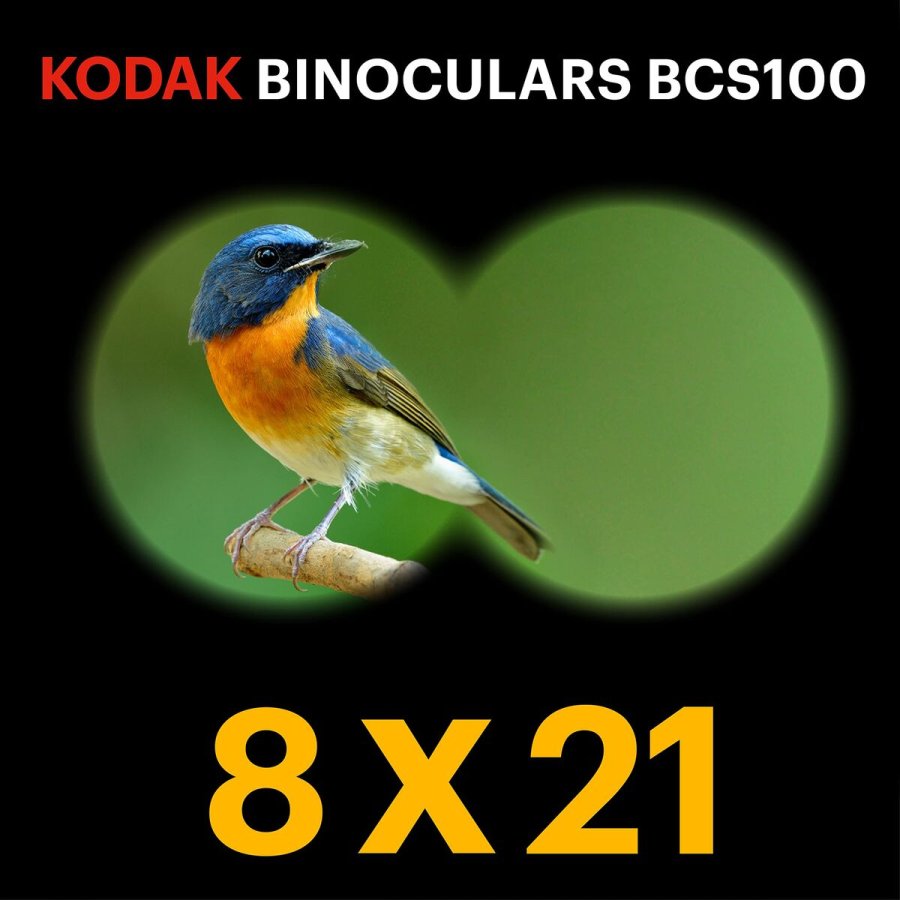 Kikkert Kodak BCS100RD #6