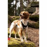 Hundesele SYMBIOZ Sort M #6