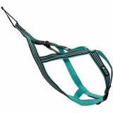 Hundesele Olympia L #2