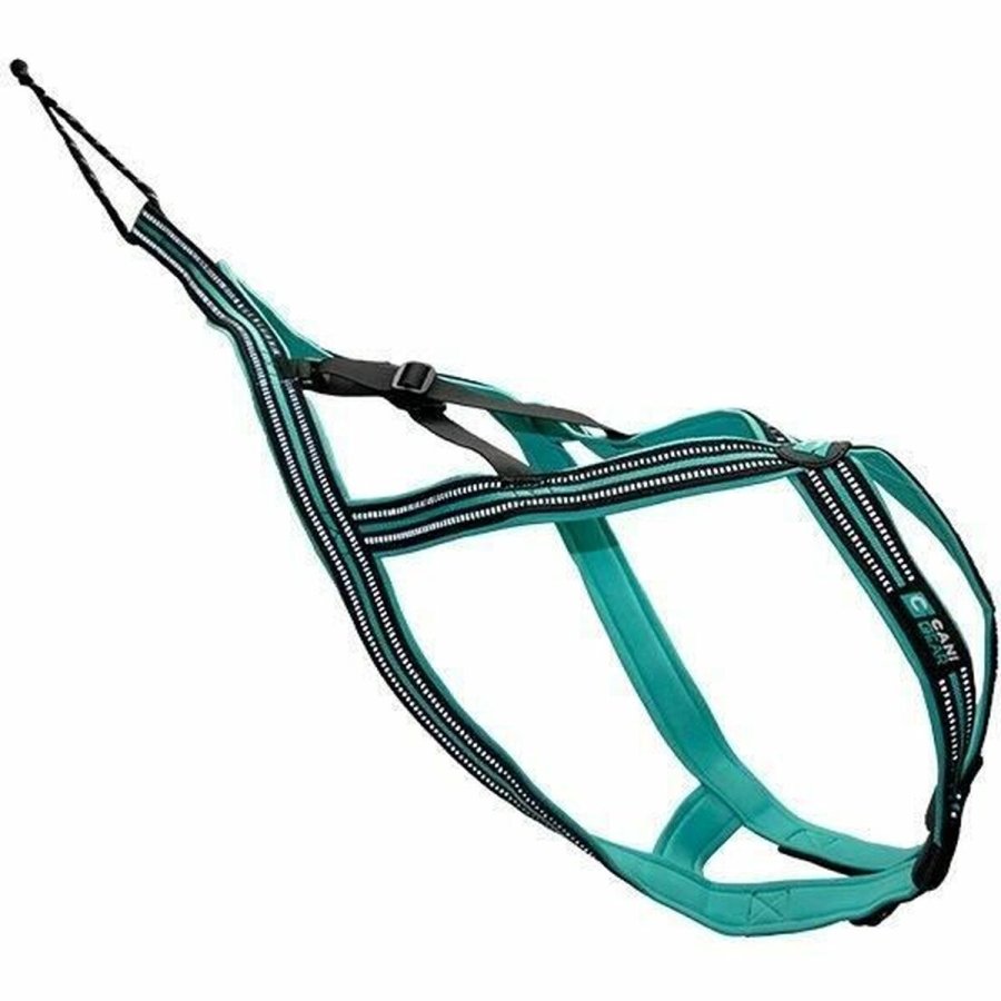 Hundesele Olympia L #2