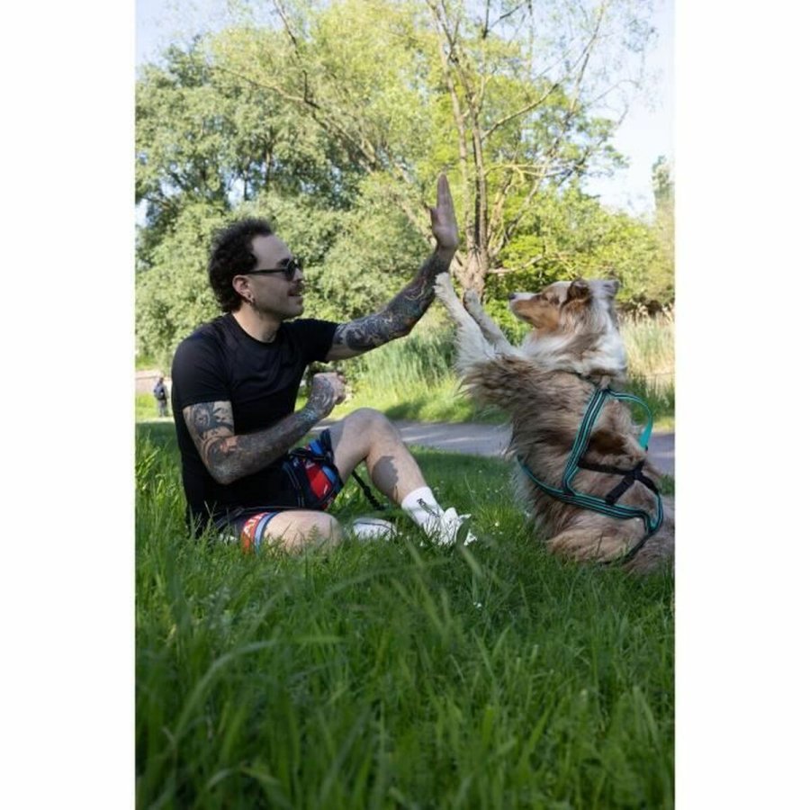 Hundesele Olympia L #6