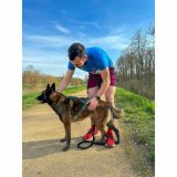 Hundesele Olympia M #5