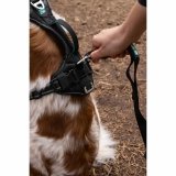 Hundesele SYMBIOZ Sort S #3