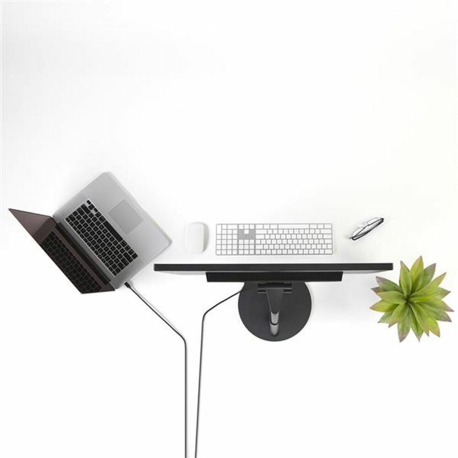 DisplayPort-kabel Startech MDP2DPMM10           3 m 4K Ultra HD Sort #3