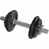 Kettlebell og hndvgtsst Schildkrt #2