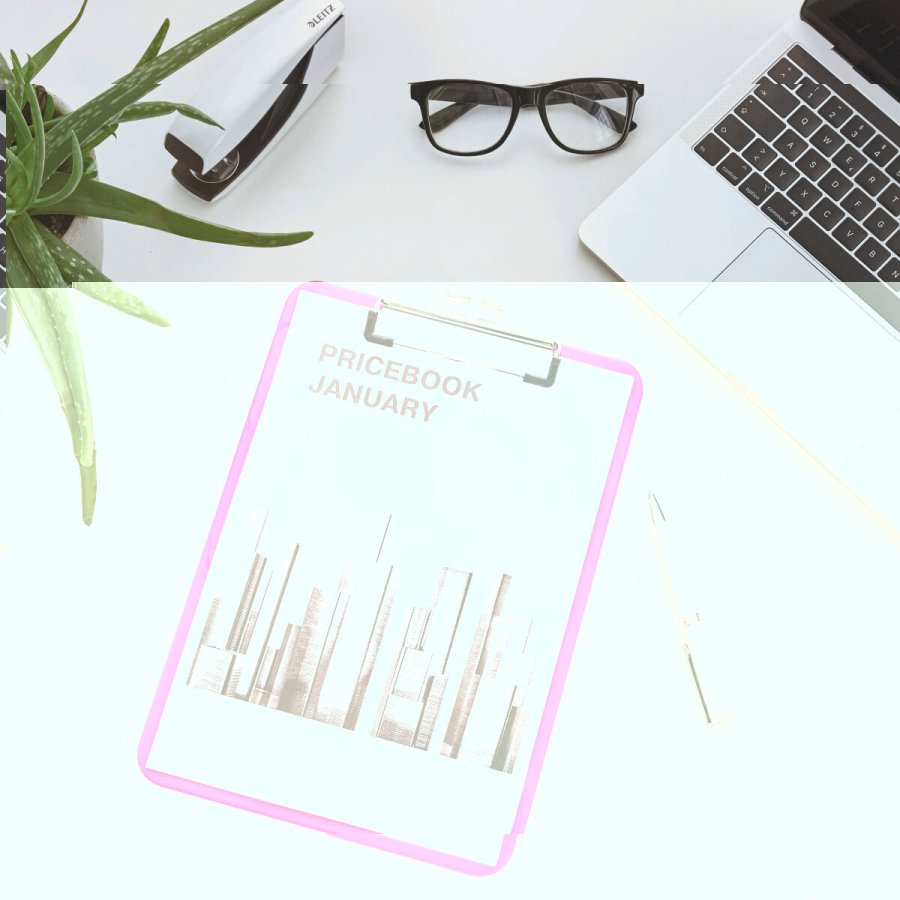 Folder Leitz Pink A4 #2