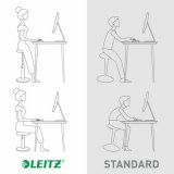 Ergonomisk skammel Leitz Ergo Cosy Active Plastik #31