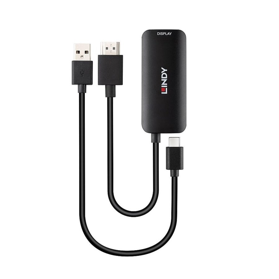 HDMI til DVI-adapter LINDY Sort 20 cm #1
