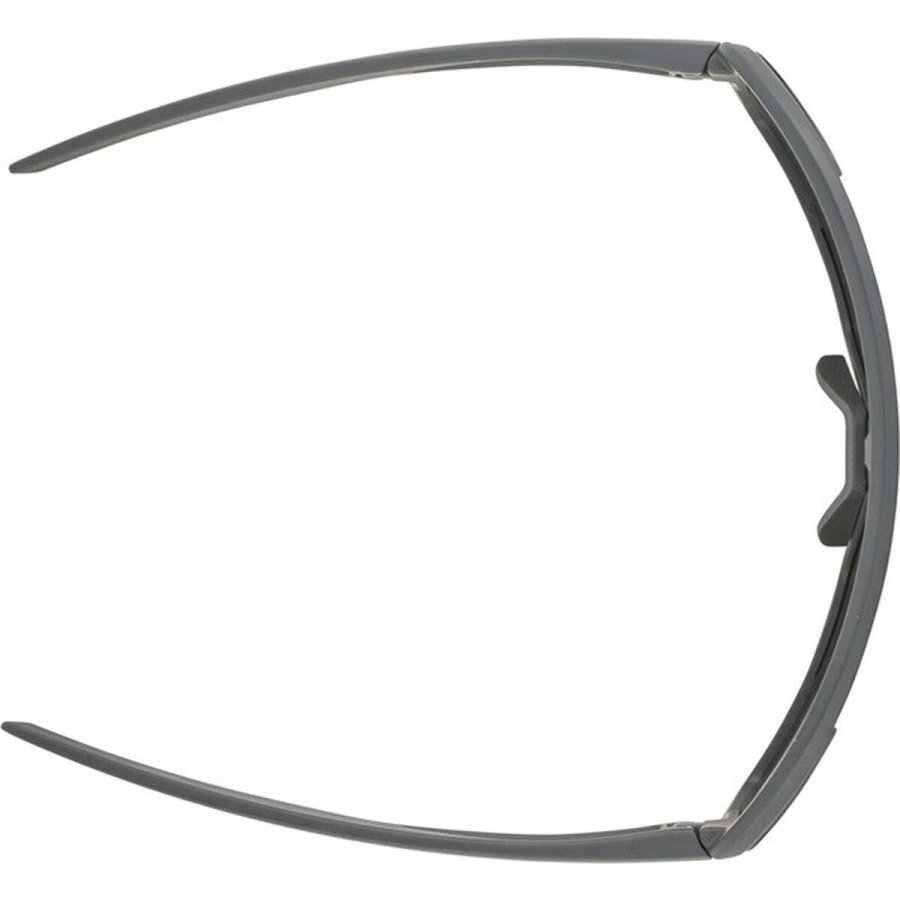 Solbriller til m�nd Alpina A8687321 #3