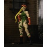 Samlet figur Street Fighter #2