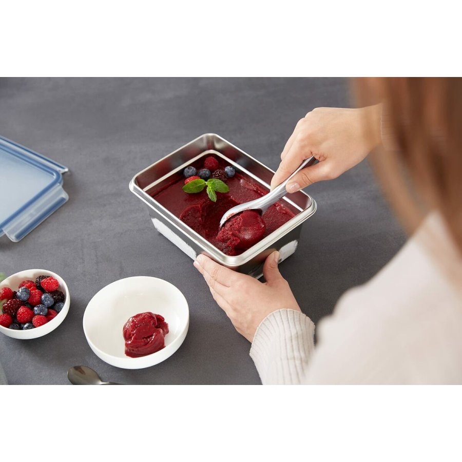 Madkasse Tefal N11506 Slvfarvet Rustfrit stl Rektangulr 2 L #7