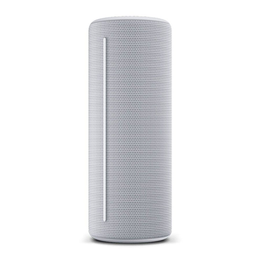 Brbare Bluetooth-hjttalere Loewe 60701S10 Slvfarvet Gr 40 W #7