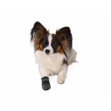 Stvler Trixie Walker Care Sort M #3