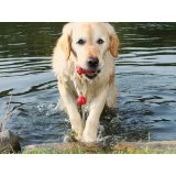 Legetj til hunde Trixie 22 cm #5