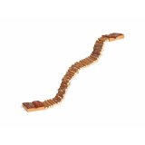 Brar Trixie 7  55 cm #1