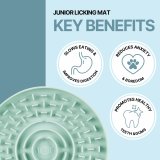 LED krave til kledyr Trixie Flash USB Rd Onesize #4