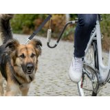 Transporttaske Trixie Grafit #2