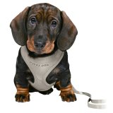 Hundesele Trixie Junior Lysegr #2