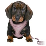 Hundesele Trixie Junior Syren #1