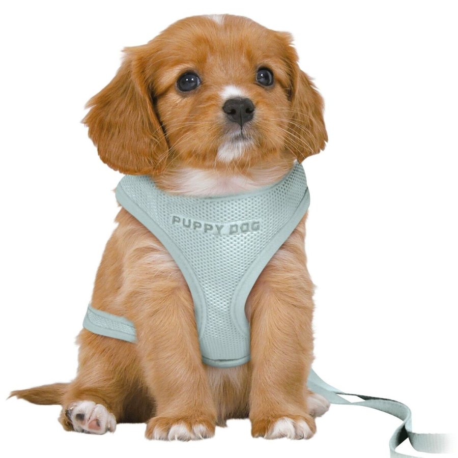 Hundesele Trixie Junior Mint M/L #1