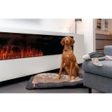 Hundetrning kraver Trixie Be Nordic Sort Sand XS/S 30 cm #4