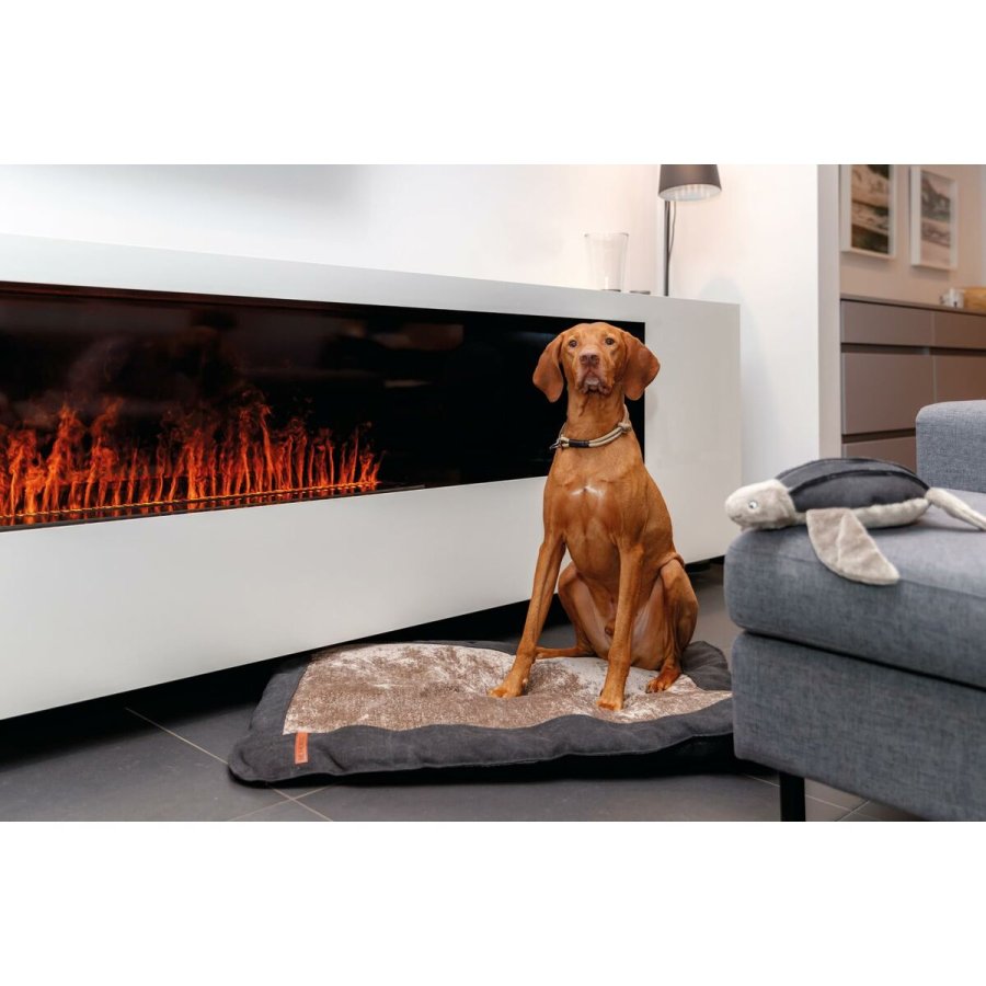 Hundetrning kraver Trixie Be Nordic Sort Sand XS/S 30 cm #4