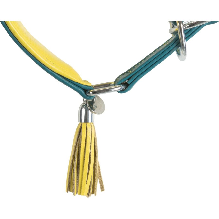 Trningshalsbnd Trixie Active Comfort Gul Bl S/M 33-42 cm #4