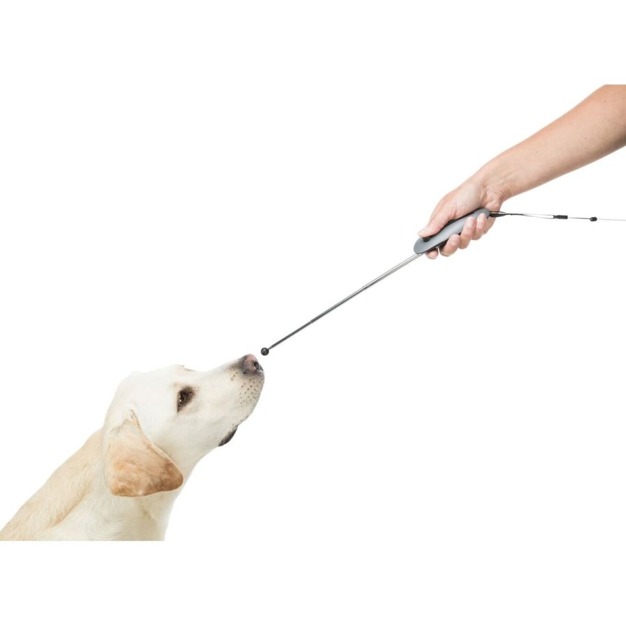 Hundehalsbnd Trixie Rustic Mrkebrun S/M 34-40 cm #6