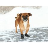 Stvler Trixie Sort XS #3