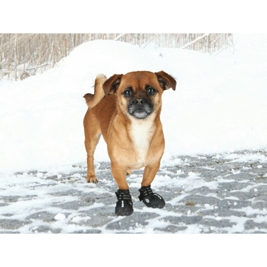 Stvler Trixie Sort XS #3