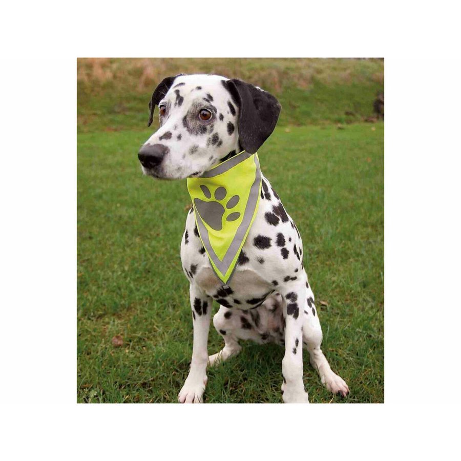 Halstrklde Trixie #3