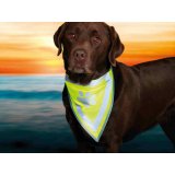 Halstrklde Trixie #5