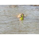 Legetj til hunde Trixie 29 cm #5