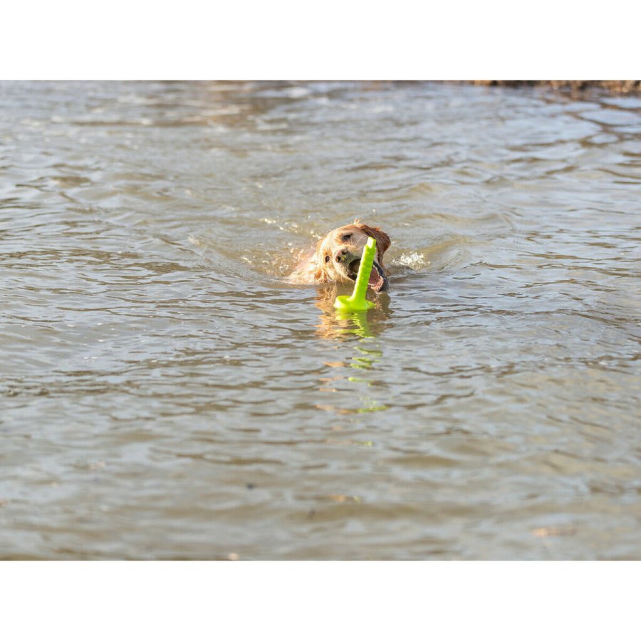 Legetj til hunde Trixie 29 cm #5