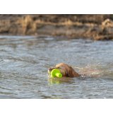 Legetj til hunde Trixie 29 cm #7