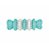 Legetj til hunde Trixie Denta Fun Mint 11 cm #1