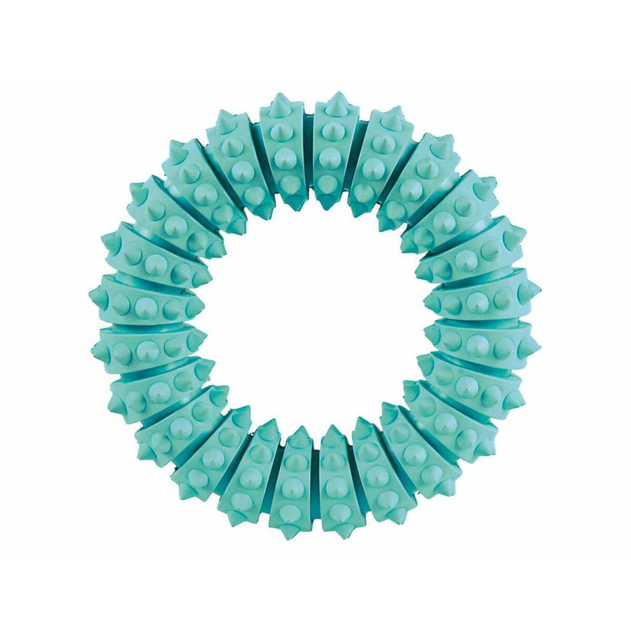 Legetj til hunde Trixie Denta Fun Mint  12 cm #1