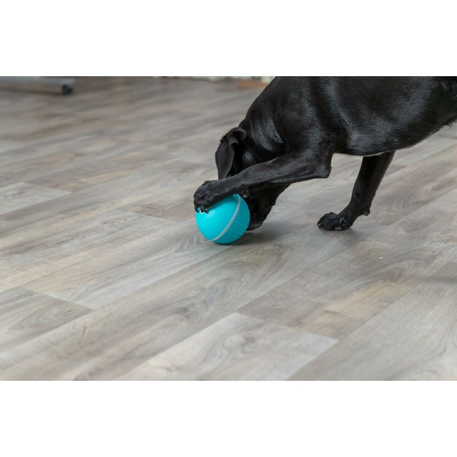 Legetj til hunde Trixie Bl Naturgummi Plastik TPR  14 cm Snacks #3