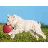 Frisbee Trixie Naturgummi  24 cm #3