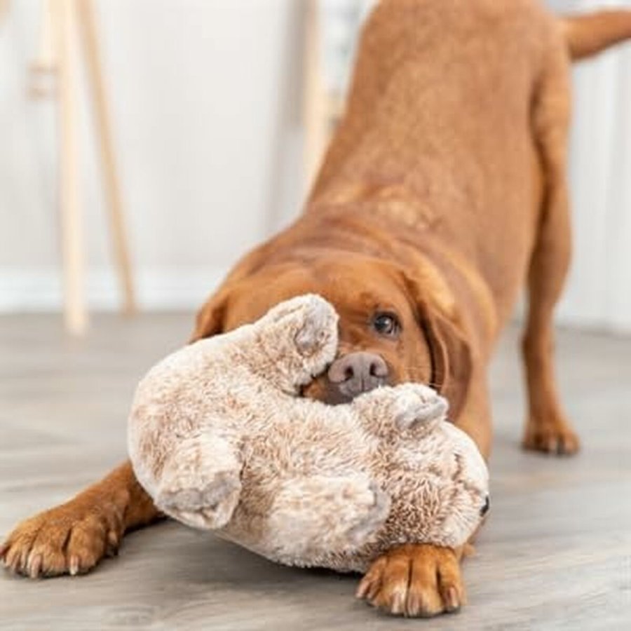 Plush legetj til hunde Trixie Polyester plys Koala 25 cm #3