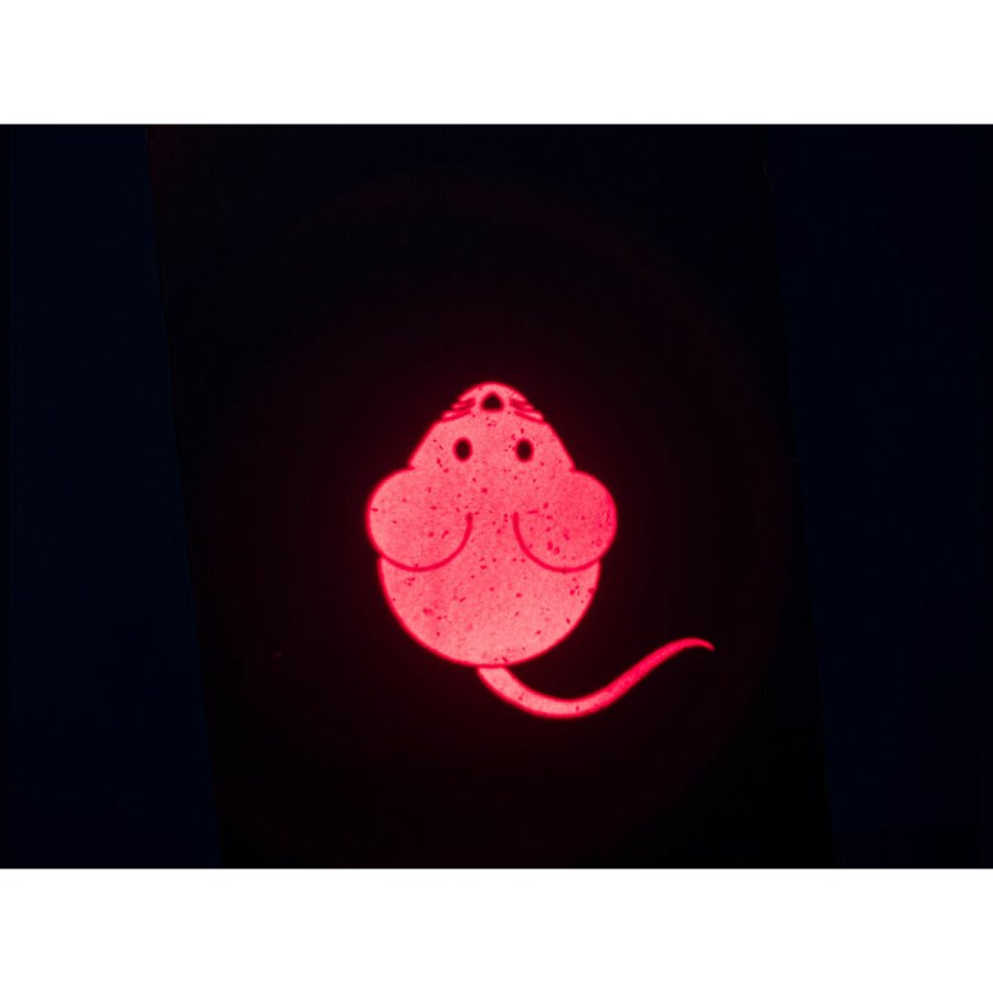 Laserpegepen Trixie #5