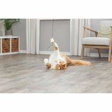 Legetj til katte Trixie Polyester plys Plastik #6