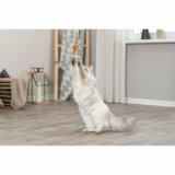 Legetj til katte Trixie Fisk 46 cm #6